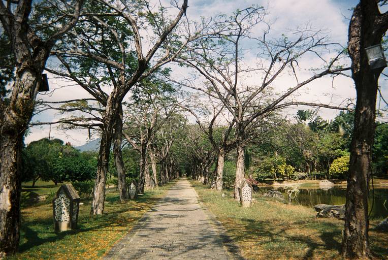 KODAK Power Flash 27+12 39exp Single Use Camera