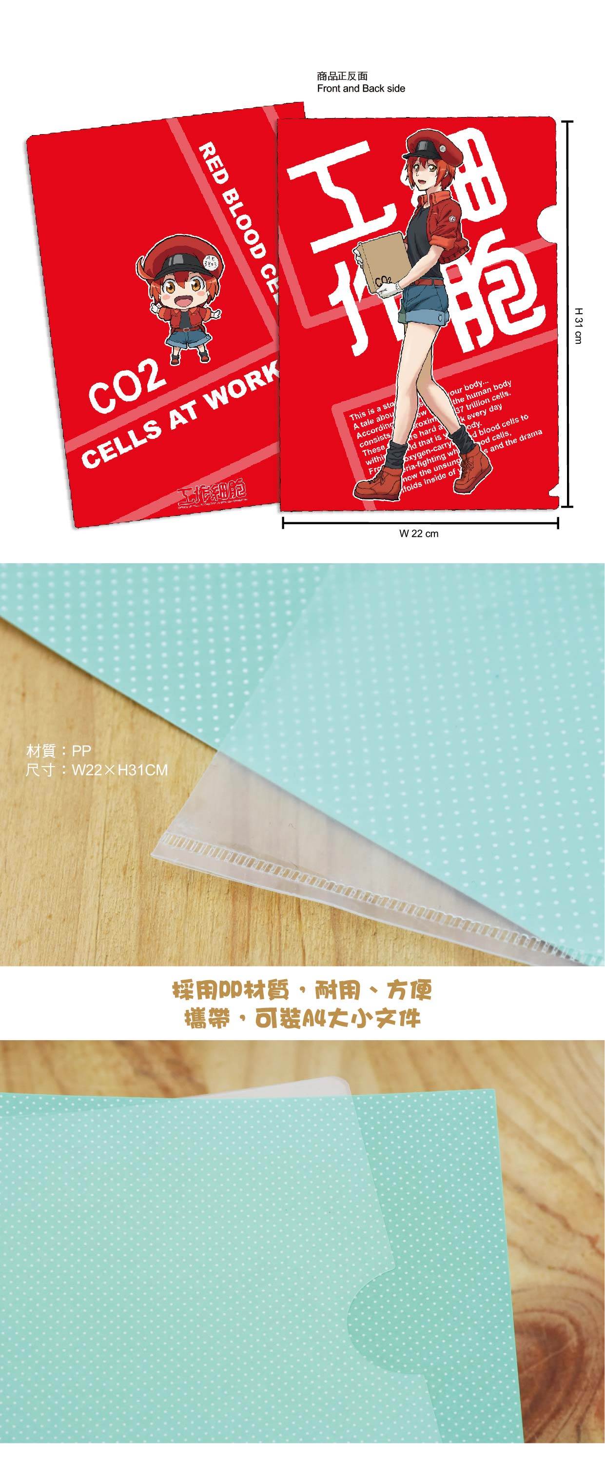 工作細胞 A4文件夾 A款 紅血球 文具 Microworks Online Store