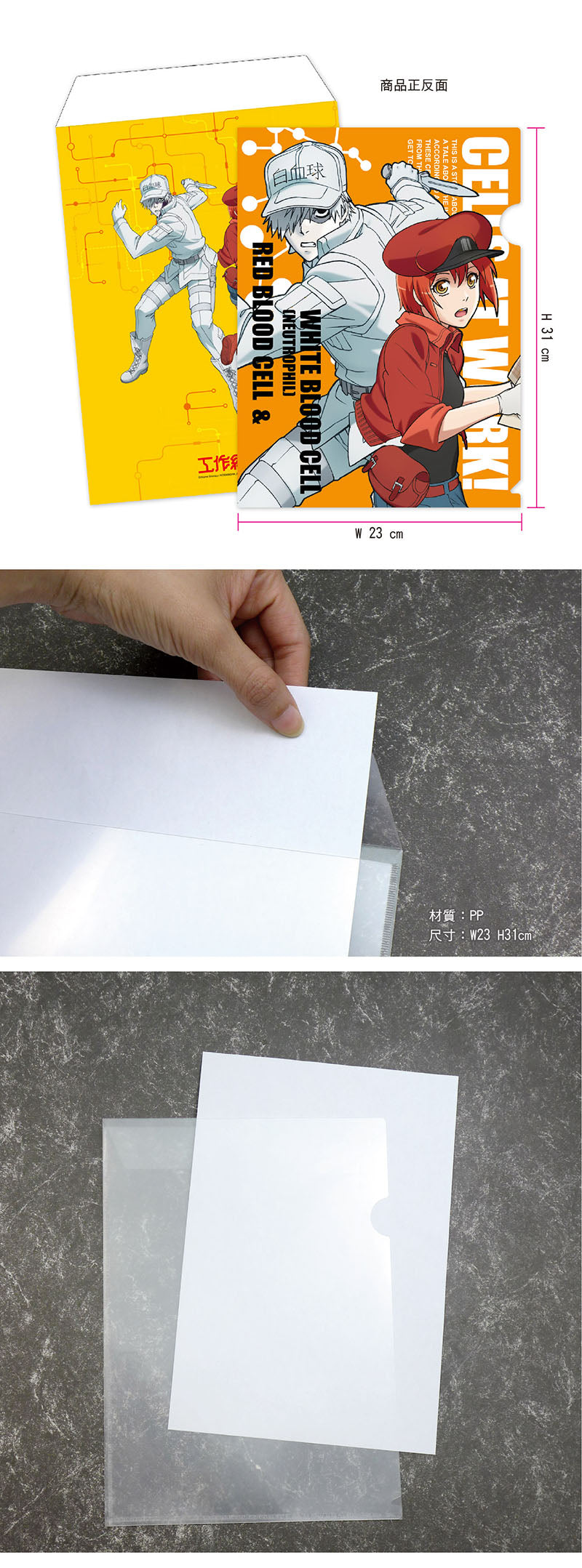 工作細胞 A4文件套 A款 白血球+紅血球 文具 Microworks Online Store