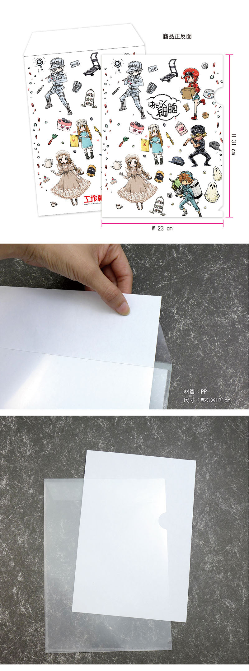 工作細胞 A4文件套 D款 綜合 文具 Microworks Online Store