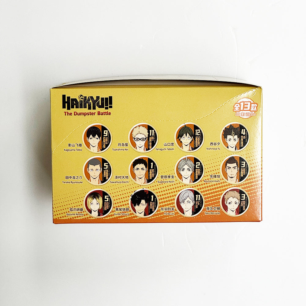排球少年!! 垃圾場決戰隊員系列徽章 [盲抽] (共13款)