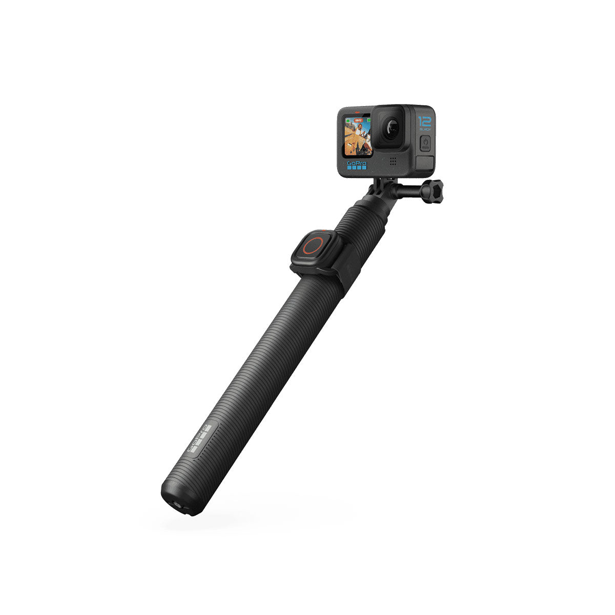 GoPro Extension pole + Remote