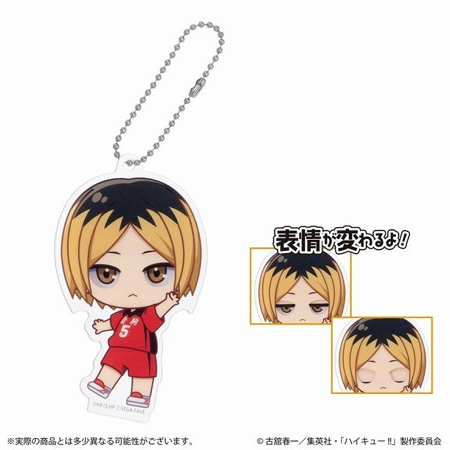 SEGA [Acrylic Doll Mini]《排球少年》盲抽1個 (共8款)